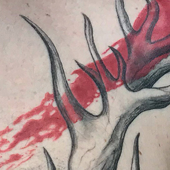 pro1
